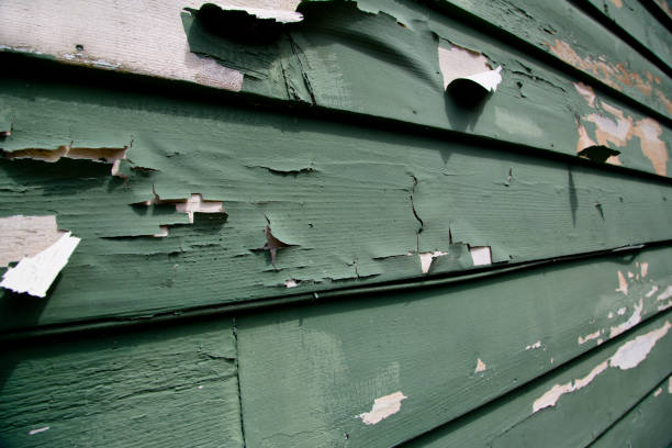 Best Siding Painting and Refinishing  in Lawnside, NJ