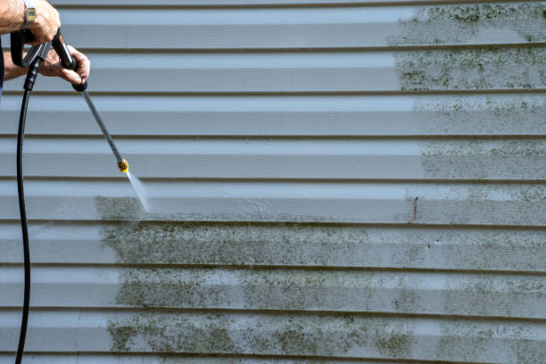 Best Custom Trim and Detailing for Siding  in Lawnside, NJ
