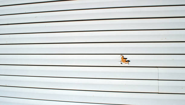 Best Siding for New Construction  in Lawnside, NJ